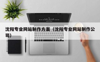 香港沈阳专业网站制作方案（沈阳专业网站制作公司）